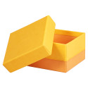 Rhodiarama 5 nestbar-e dz 44x34x16 narcis/ St.