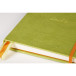 Rhodia Glbk hardc A5- 120bl 90g DOT anijs/ St.