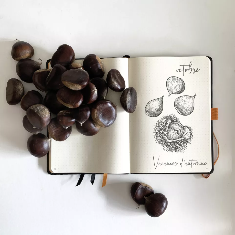 Rhodia Goalbook hard-c iv. A5 dot...