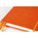 Clairefontaine Rhodiarama Hardcover Goalbook A5 Dot/ Pc.