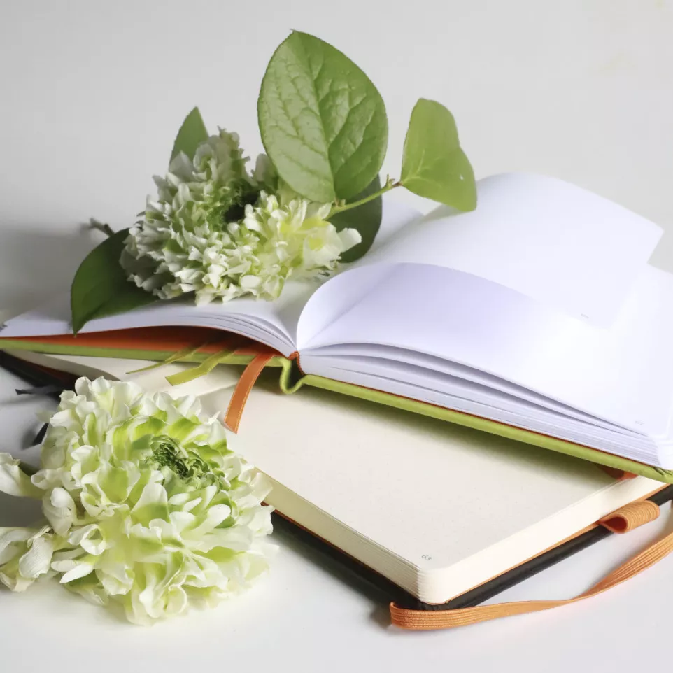 RHODIA GOALBOOK RR WIT A5 DOT ANIJS-/...