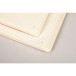 Rhodiarama Goalbk A5- 120bl 90g DOT beige/ St.
