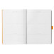 RHODIA GOALBOOK SOFT- WIT A5 DOT ZILVER/ St.