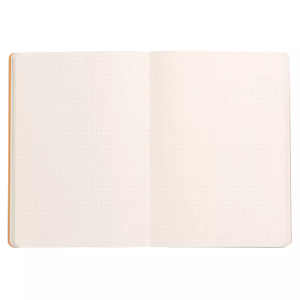 Rhodiarama carnet souple A5 160 pages...
