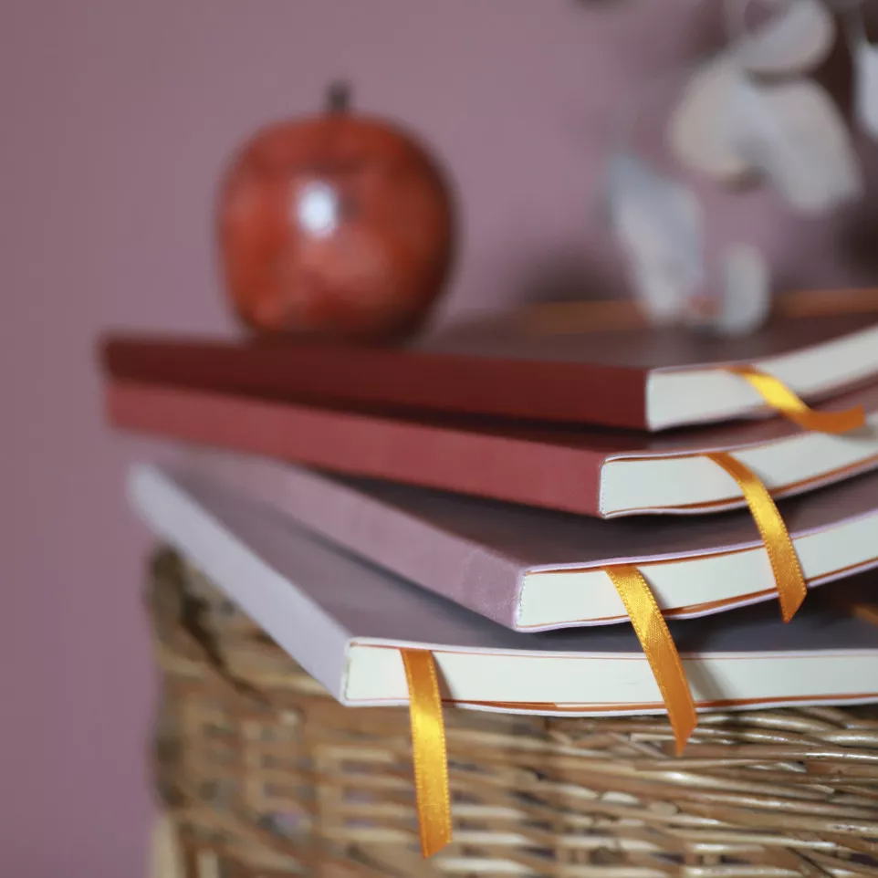 Rhodiarama carnet souple A5 160 pages...