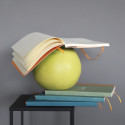 Rhodiarama Softcover Notebook A5, Lined/ Pc.