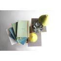 Rhodiarama soepel A5- L celadon 80bl 90g/ St.