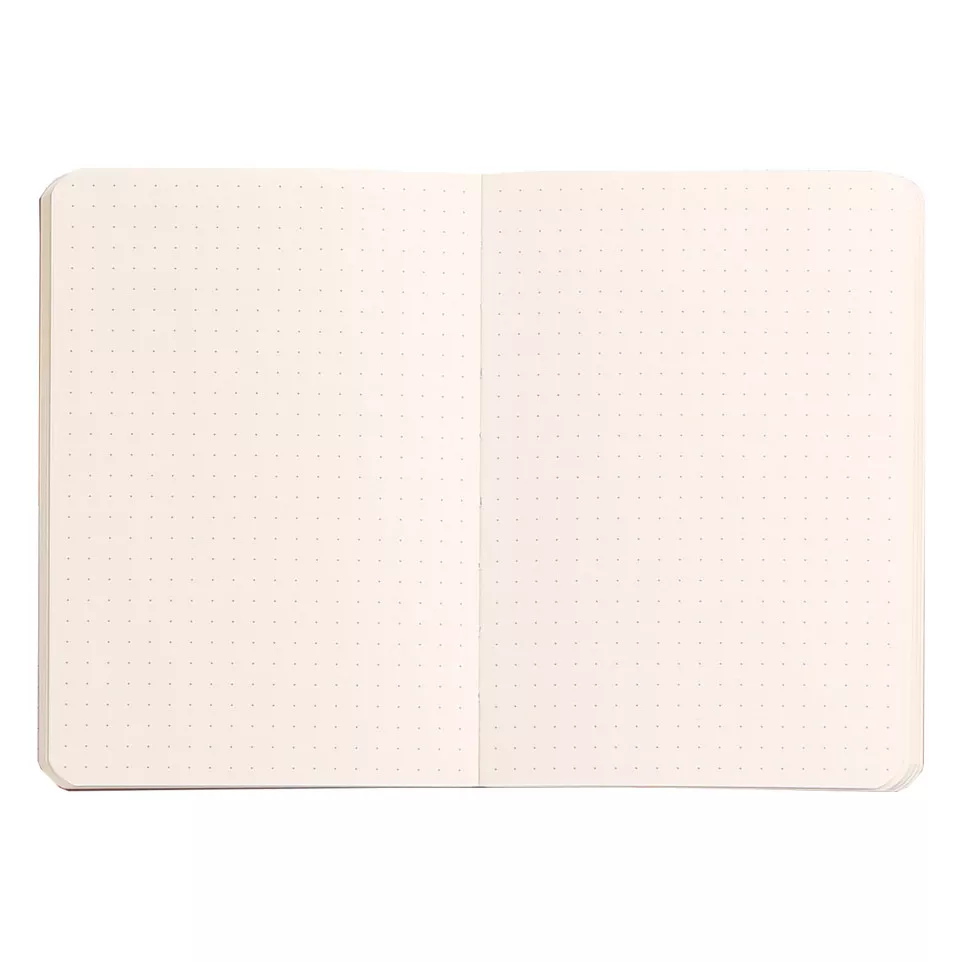 Rhodiarama carnet souple A6 144 pages...
