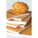Rhodia Ntpd Orange N-°14 80bl 80g lijn/ St.