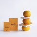 Rhodia Orange N11  80bl 90g lijn-/ St.