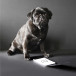 Rhodia Bl. Pocket Or-anje 7,5x12 40bl 5/5/ St.