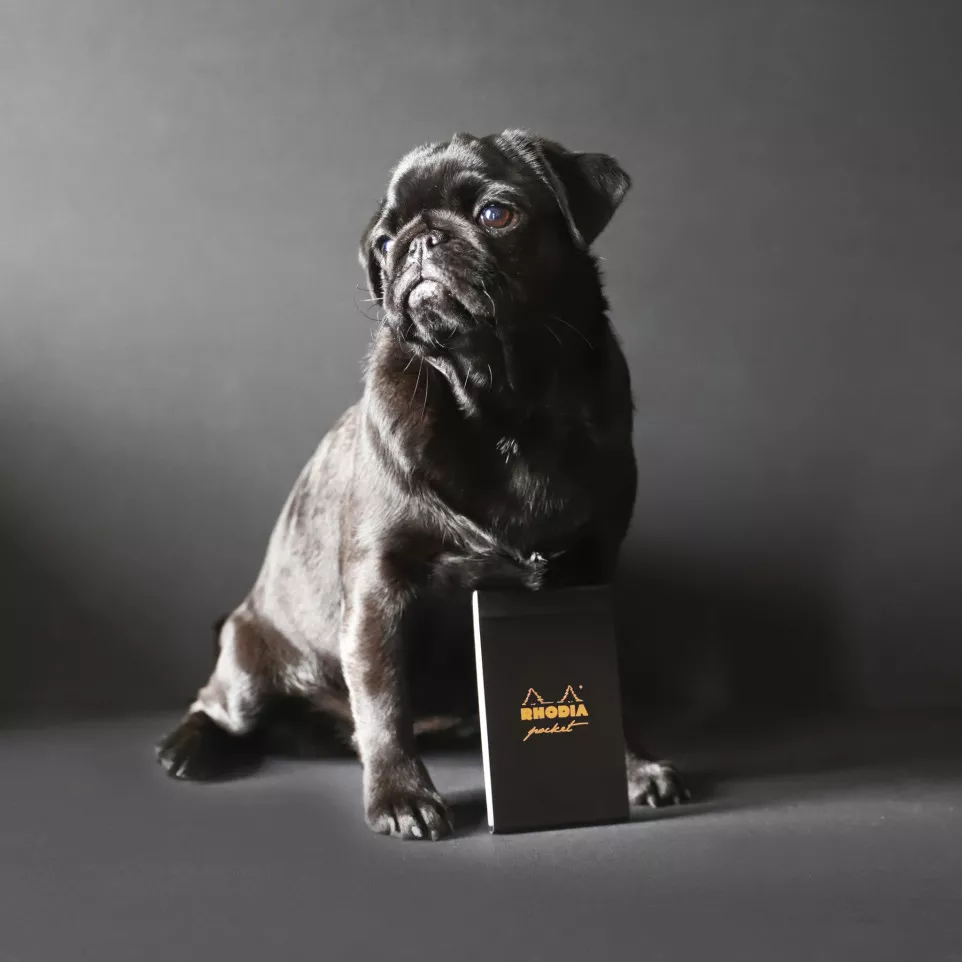 Rhodia Bl. Pocket Or-anje 7,5x12 40bl...