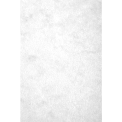 Karton Europa 50 vel A4 256g wit-/ St.