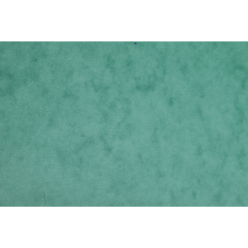 Karton Europa 50 vel A4 256g groen-/ St.