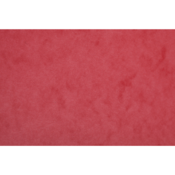 Karton Europa 50 vel A4 256g rood-/ St.