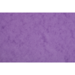 Karton Europa 50 vel- A3 300 microns 256g/ St.