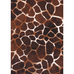 209 - Pochette 20 feuilles...