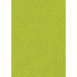 Décopatch 3 identiek-e...