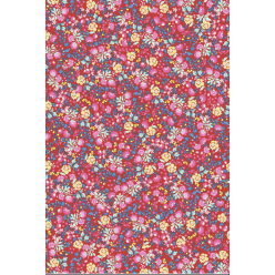 751 - Pochette 20 feuilles...