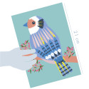 Boîte créative, Découpage collage, Oiseaux/ Pce