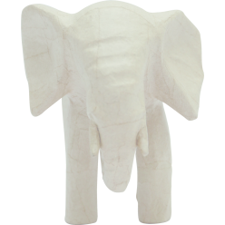 Afrikaanse Olifant-/ St.