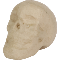 Crâne 12cm/ Pce