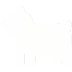 Symbool 12cm, Beer-/ St.