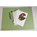 Herbier carnet spiralé 32F 24x32cm 180g/ Pce