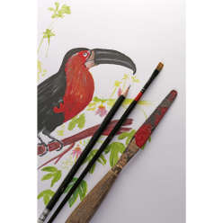 Paint'On rol 10mx1m30 250g...