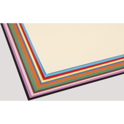 Tulipe rame 12F 24x32cm...