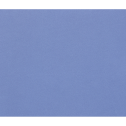 Tulipe 50 bl 160g A3...