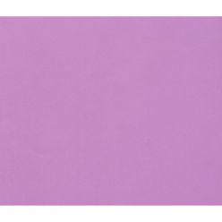 100sh Tulipe 160g A4...