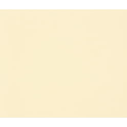 Tulipe 50 bl 160g 50x70...