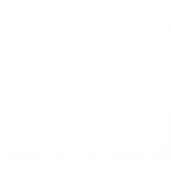 Clairefontaine Tulipe...