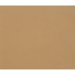 Tulipe 50 bl 160g 50x70...