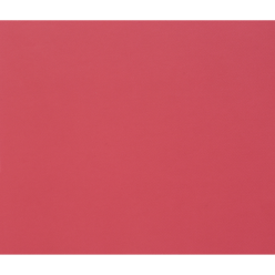 Tulipe 50 bl 160g 50x70...