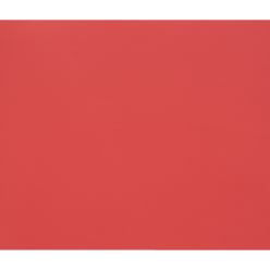 Tulipe 50 bl 160g 50x70...