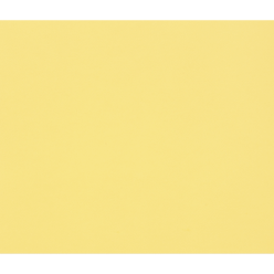 Tulipe 50 bl 160g 50x70...