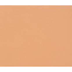 Tulipe Paper 160g 50x65cm/ Pc.