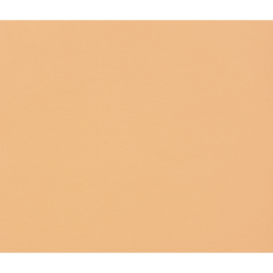 Tulipe Paper 160g 50x65cm/ Pc.