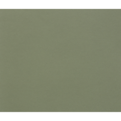 Tulipe Paper 160g 50x65cm/ Pc.