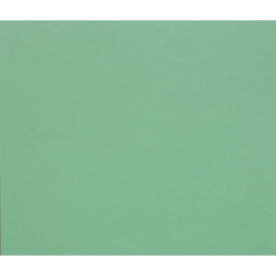 Tulipe Paper 160g 50x65cm/ Pc.