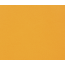 Tulipe 25 bl 160g 50x70...