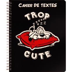 Ast3 Idéfix wirebd...