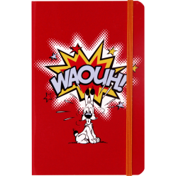 Ast3 Idéfix 11x17 st-apled...