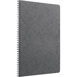 Age Bag Wirebound Notebook...