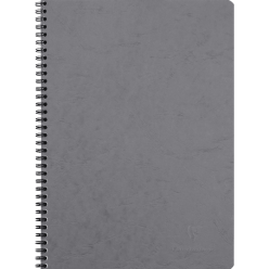 Age Bag Wirebound Notebook...