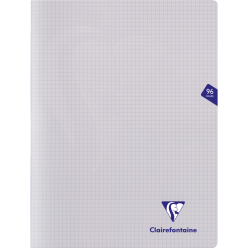 Cahier piqué Mimesys...