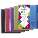 Evolutiv'Book Linicolor INTENSIVE cahier reliure intégrale A5+ 180 pages détachables perforé 6 trous petits carreaux + cadre en-