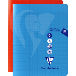 Mimesys werkschrift-17x22...